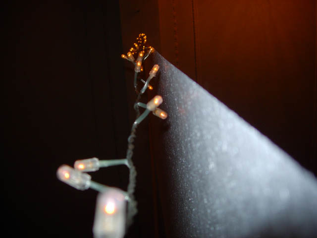 DSCN4428